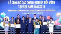 Vietnam announces top 100 sustainable enterprises in 2018