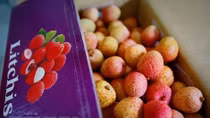 Vietnam earns US$2.3 billion from vegetable, fruit exports