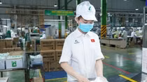 Vietnamese compostable production line gets trademark in US