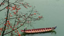 Enjoy beautiful March with flowers in full bloom