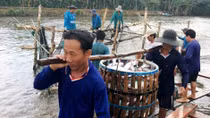 US remains Vietnam’s largest aquatic export market