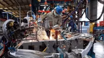 Int’l economists expect Vietnam’s economy to grow rapidly in 2017
