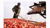 Vietnam seeks more ASEAN trade