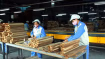 Forestry exports estimated at US$6.64 billion in nine months