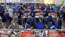 Seafood exports fetch US$4.63 billion in seven months
