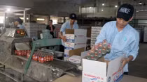US attractive to Vietnamese exporters