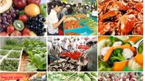Agri-forestry-fishery exports to hit US$31 billion