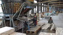 Wood enterprises helped to meet EU requirements