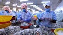 Ministry extends period selecting prestigious exporters 2019