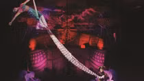 Circus performance to feature parrots for first time