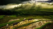 Vietnam Heritage Photo Awards 2017 opens for entries