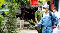Dengue fever cases in Hanoi fall 96.8%