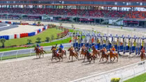 Hanoi authorities to facilitate deployment of horse racetrack project