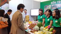 Mekong Delta of Vietnam attracts Japanese investment 