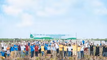 GM Vietnam joins hands in protecting mangroves 