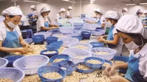US emerges as largest consumer of Vietnamese farm produce