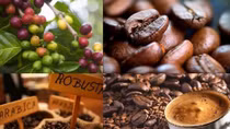 Coffee exports enjoy major surge to EU market