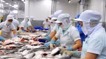 US anti-dumping duties on Vietnam's frozen fish lacks legal basis