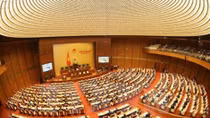 Legislators discuss revisions of law on overseas representative missions