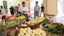 EU enhances inspections on Vietnam’s agricultural products from Sept 1