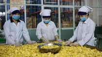 Agricultural sector urged to devise concrete strategies to utilize RCEP
