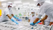 Exports of tra fish earns 438 million USD in three months