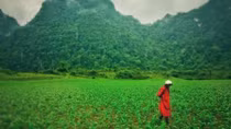 Quang Binh to introduce local images to Hollywood