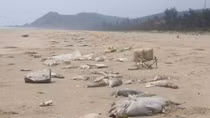 Formosa tours opposed by locals