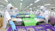 Seafood exports benefit most from Vietnam-EAEU FTA