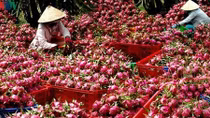 Farm produce face hurdles to make inroads into EU