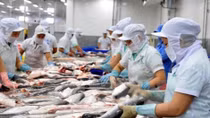 Aquatic exports record two-digit growth in January