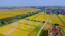 Workshop discusses Belgian support for Vietnam’s agriculture