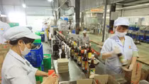 Traditional fish sauces need to be promoted: experts