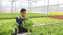 Fruits, vegetables export reach US$3.16 billion in 11 months