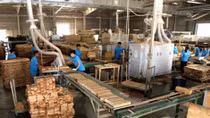 Agro-forestry-fishery exports fetch 12.4 billion USD in four months