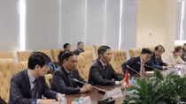 Vietnam-EAEU FTA produces positive outcomes