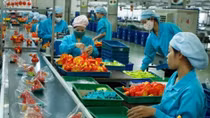 Newly-established enterprises up in 2018