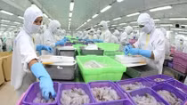 10-month export turnover hits US$144 billion
