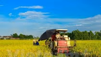 Minister points to bottlenecks in agricultural restructuring