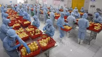 RCEP to help farm produce expand presence in global markets