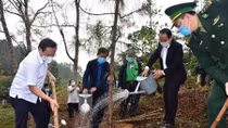 Thua Thien Hue launches tree planting festival 