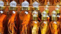 Vietnam among biggest importers of Korean ginseng