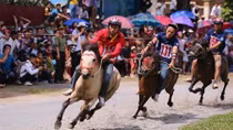Bac Ha horse race recognized as national intangible heritage