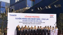 Truong Hai opens Japan – Chu Lai container shipping route 