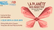 Film week "World of insects around us" kicked off 