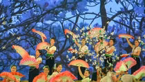 Dien Bien named as host for Hoa Ban Festival 2021