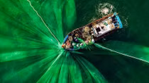 Vietnamese photographer wins place in 50 best photos of #Green2020