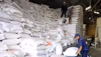 Philippines to import 250,000 tonnes of rice from Vietnam or Thailand