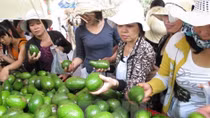 Southern fruit festival opens