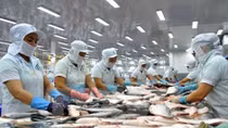 Vietnam forges ahead with free trade agreement with EU